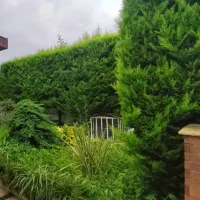 فروش زمین 275 متری/مناسب اپارتمان سازی/دریاگوشه