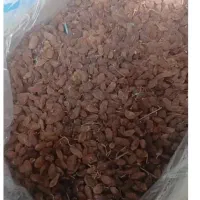 کشمش زیر قیمت خشکبار سفارش پذیرفته میشود