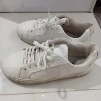 کفش ونس سالم و تمیز سایز بزرگ|کیف، کفش، کمربند|صفادشت, |دیوار