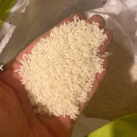 برنج ۱۷ کیلو محسن