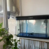 اکواریوم وارداتی به همراه پمپ تصفیه|ماهی|شیراز, معالیآباد|دیوار