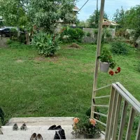 650متر زمین 100بنا تک برگ سند پای کوه شاندرمن|فروش خانه و ویلا|ماسال, |دیوار