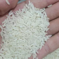 برنج هاشمی درجه یک دره رود|خوردنی و آشامیدنی|چهاردانگه (آذربایجان), |دیوار