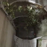 تعمیرات همه چی درتوان بنده به جزبرق در محل تضمینی