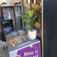 یخچال مجید|فروشگاه و مغازه|قیدار, |دیوار