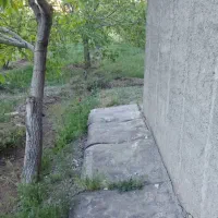 ۲هکتار باغ بر اتوبان تهران به زنجان معاوضه باماشین|فروش زمین و ملک کلنگی|صائین قلعه, |دیوار