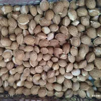 بادام تلخ ،گردو ،نون ضایعات، لوبیا آشی ،لوبیاوکاه