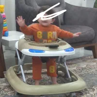 روروئک  دلیجان