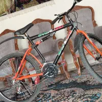 دوچرخه|دوچرخه، اسکیت، اسکوتر|گلبهار, شهر جدید گلبهار|دیوار