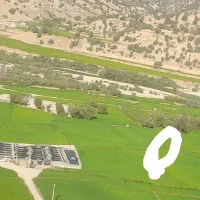 زمین-برنج-کاری-کشاورزی