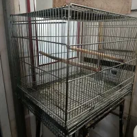 قفس پرنده فروشی