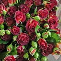 استخدام همکار خانوم و تزیین کار گل