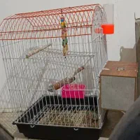 قفس پرنده جنس محکم و نو