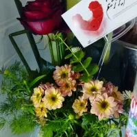 باکس گل زیبا