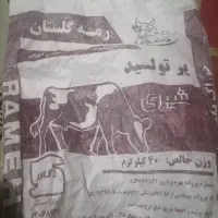 کیسه خالی