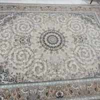 فرش 12 متری|فرش|قزوین, |دیوار