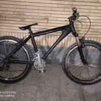 دوچرخه حرفه ای تایوانی اصل