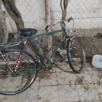 دوچرخه دنده ای کوهستان|دوچرخه، اسکیت، اسکوتر|شاهین‌شهر, گزبرخوار|دیوار