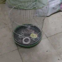 قفس|لوازم جانبی حیوانات|کرج, شهرک سهرابیه|دیوار