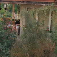 سفریکروزه فیروز کوه مخصوص بانوان|تور و چارتر|تهران, پرستار|دیوار
