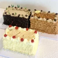 کیک های تر و خشک