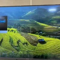 فروش تلویزیون دوو۴۳