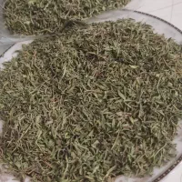 آویشن تازه با قیمت( مناسب)