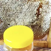 عسل طبیعی ارگانیک از کوههای بکر سبلان.