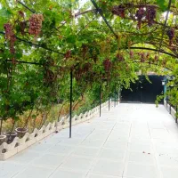 باغ ویلای 1300 متر