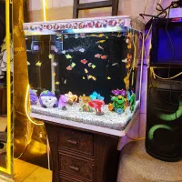 آکواریوم شرکتی کارتونی همراه ماهی|ماهی|تبریز, |دیوار