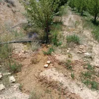 باغ سپیدان معاوضه با دنا پلاس سورن پلاس تارا