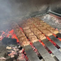 کارکن درکباب بناب فلکه دادگستری