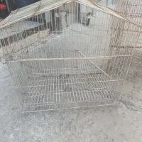 قفس پرنده