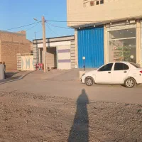شراکت در زمینه خرید شلتوک