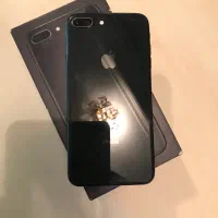 8plus 256