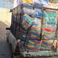 شابلون زن وعکاس ماهر|استخدام صنعتی، فنی، مهندسی|پاکدشت, |دیوار