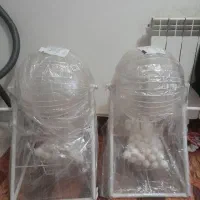 چرخ گردنده برای قرعه کشی