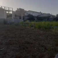 فروش زمین ۱۹۲ متری بابلسر روستای ساحلی میرود|فروش زمین و ملک کلنگی|بابلسر, |دیوار