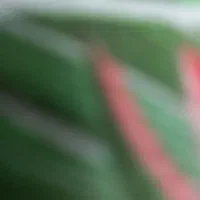 شماره رند ۰۹۱۸۸۴۵۹۶۷۷.۰۹۱۸۸۴۵۹۶۸۸|سیم‌کارت|ایلام, |دیوار