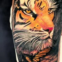 تتوبا ده سال تخصص(برای افرادی ک کار حرفه ای میخان)