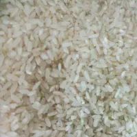 برنج کامفیروز255