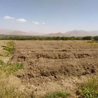 فروش باغ انگور تازه‌کاشت موقعیت عالی در شهرک اناج