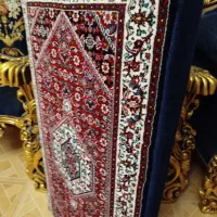 پشتی ریزماهی|پشتی|قزوین, |دیوار