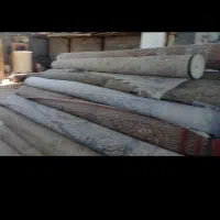 کارخانه قالیشویی و مبل شویی قیطران فل