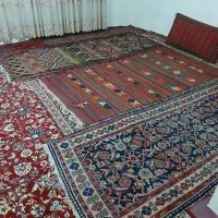 گلیم دستباف|گلیم، جاجیم، گبه|کرج, حصارک پایین|دیوار