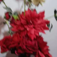 گل و گلدان زیبا|گل مصنوعی|خرم‌آباد, |دیوار