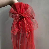 لباس مجلسی|لباس|ری, دولتآباد|دیوار