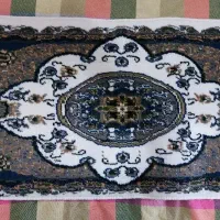 انواع پادری فرش باکیفیت زیبا ضخیم|پادری|رشت, استقامت ۱|دیوار