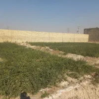 فروش زمین چهار دیواری ۲۰۰ متر|فروش زمین و ملک کلنگی|اصفهان, قهجاورستان|دیوار