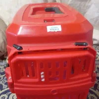 میکس پامر شیتزو|سگ|شاهرود, |دیوار